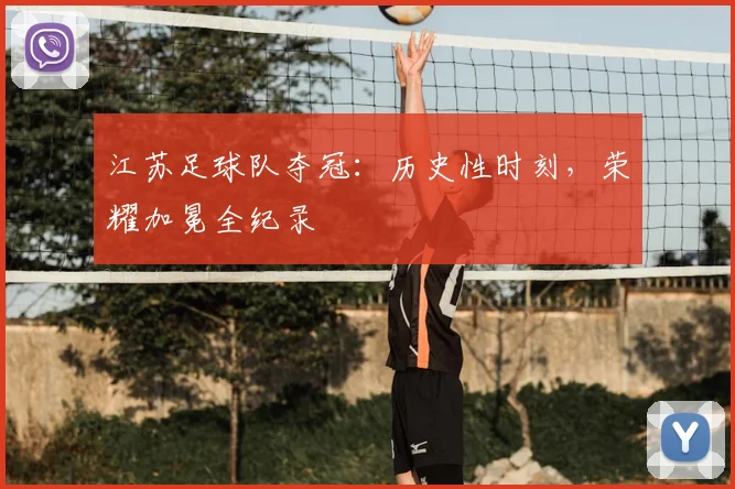 江苏足球队夺冠:历史性时刻,荣耀加冕全纪录