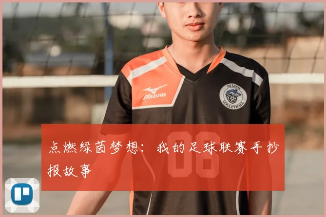 点燃绿茵梦想：我的足球联赛手抄报故事